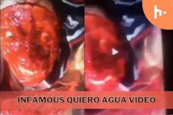 Quiero Agua Video Gore: An In-Depth Exploration Of The Controversial Clip