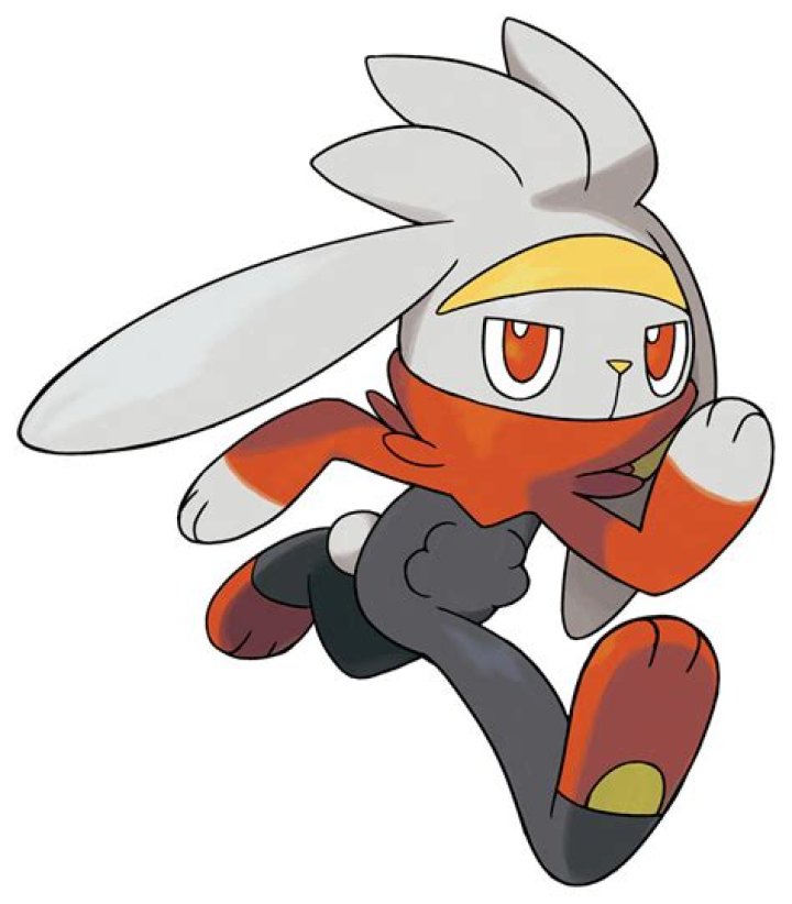 Raboot Evolution, Rarity, Location, Stats in Pokemon Sword and Shield