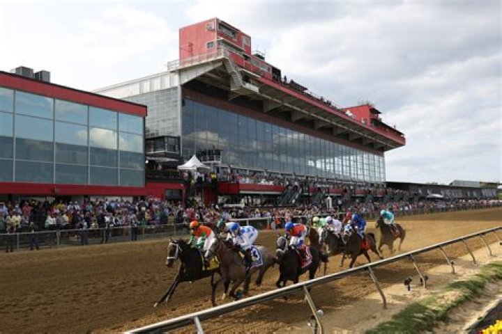 	Race-by-race picks for Saturday’s racing at Pimlico Race Course	
