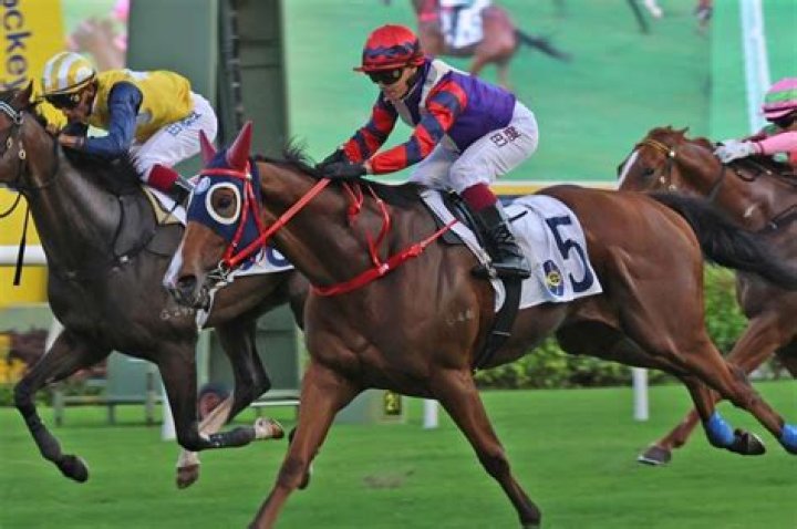 Race Result | 10 Mar 2024 | Sha Tin | Race 1 HAU WONG HANDICAP | HK Racing