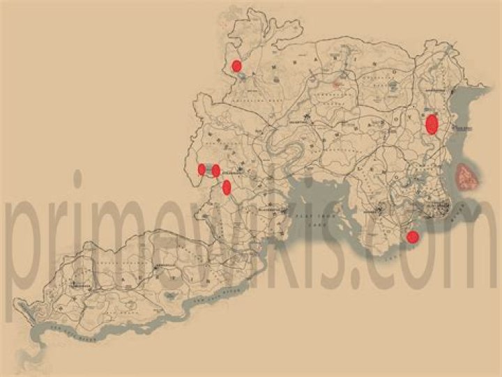 Red Dead Redemption 2 Beaver Locations: Where to Find Beavers