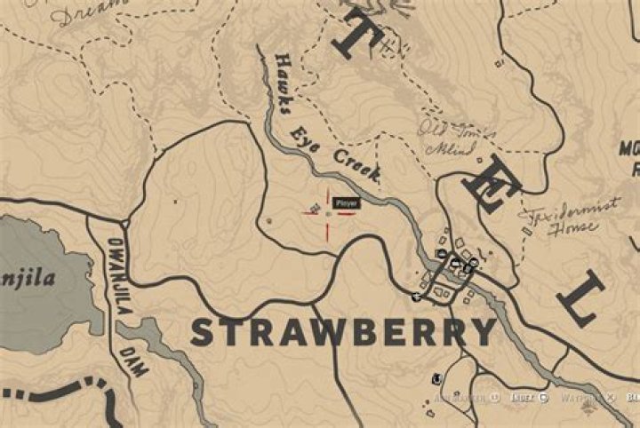 Red Dead Redemption 2 Herbalism Challenge 3 guide: Every berry location