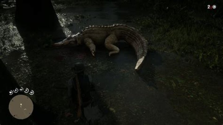 Red Dead Redemption 2 Legendary Alligator Location