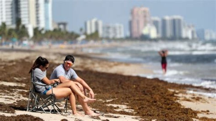 	Red tide levels are lowest off Broward, higher off Palm Beach and Miami-Dade	