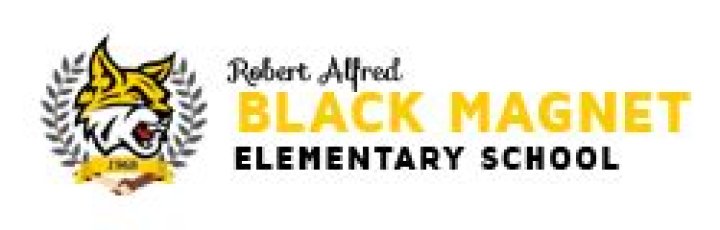 Robert A Black Magnet School - Branch - Chicago