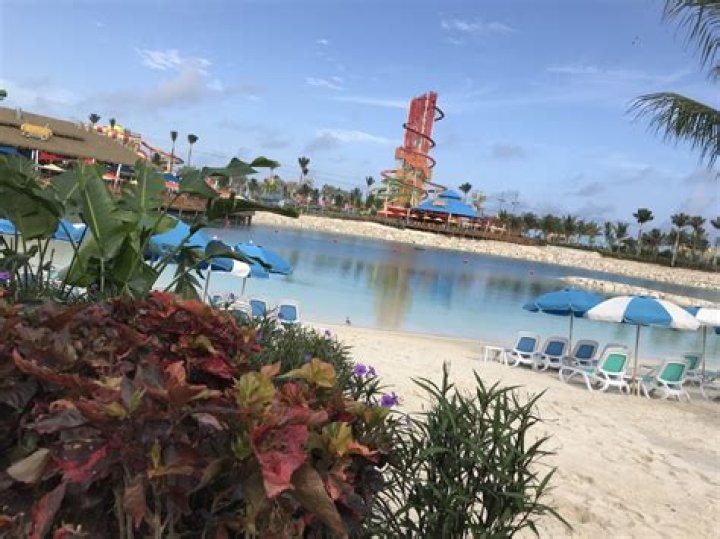 	Royal Caribbean sails into beer business with South Florida’s Funky Buddha	