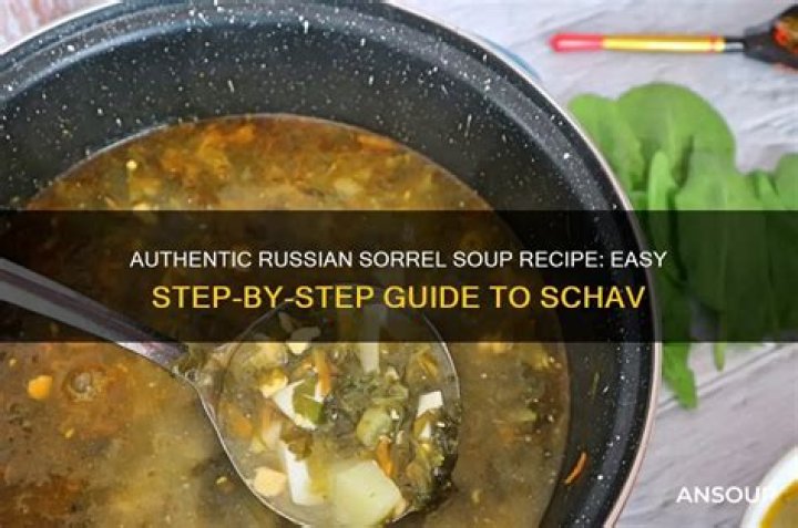 	SCHAV A CLASSIC RUSSIAN SOUP	