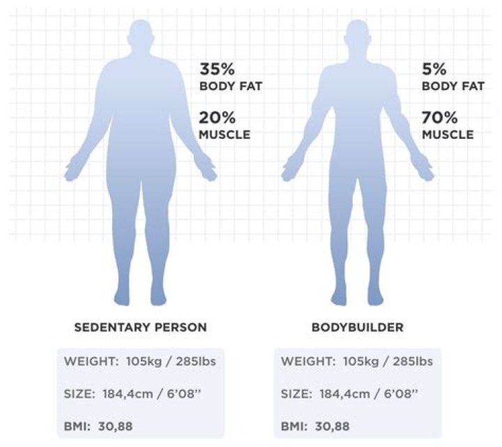 Seasonal Variations | Differences In Body Weight