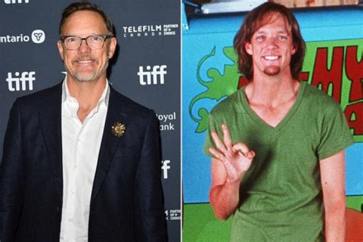 Shaggy Vermögen
