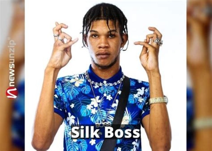 Silk Boss: Wiki, Bio, Age, Height, Birthday, Family, Girlfriend, Net Worth