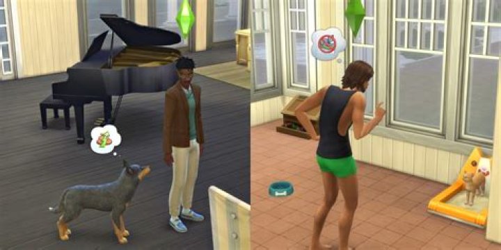 Sims 4 Cats & Dogs: How to Teach & Train Your Pet