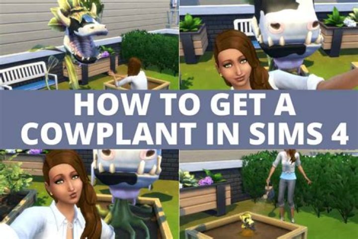 Sims 4: How to Get a Cow Plant