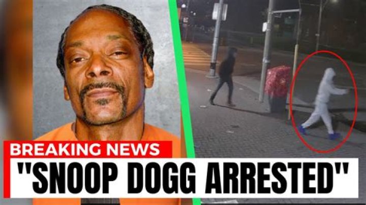 Snoop Dogg's Criminal Background: A Deep Dive Into His Past
