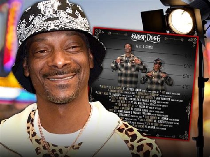 Snoop Dogg Police Record: A Comprehensive Look Into His Legal Troubles