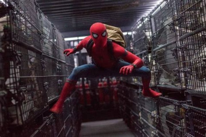 Spider-Man is the model face mask-wearer, says health expert