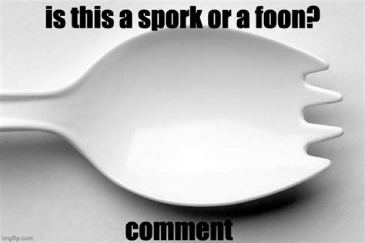 	SPORK (OR IS IT A FOON?) STIRS DEBATE	