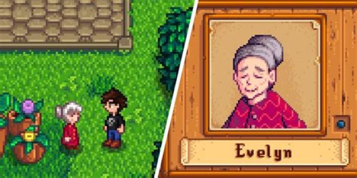 Stardew Valley: How to Befriend Evelyn (Likes & Dislikes)