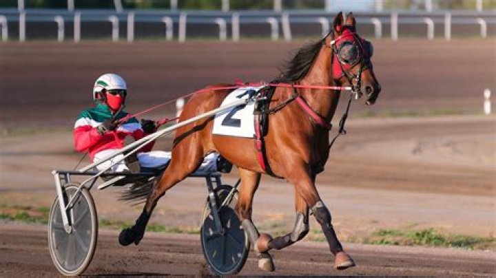 	STATE SUSPENDS POMPANO HARNESS DRIVER	