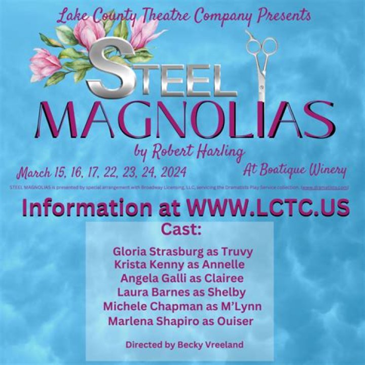 Steel Magnolias Oscars