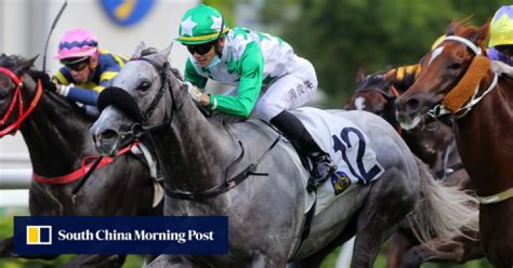 Stellar win from Mister Snowdon highlights evolution of Douglas Whyte and Jerry Chau | HK Racing