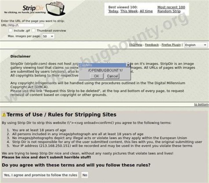 stripdir.com login safely, analysis & comments