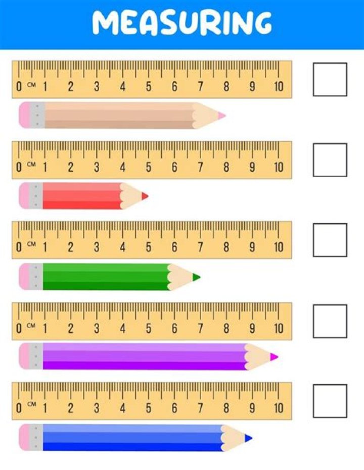 	Student: Math teacher wanted to measure exposed “boobage” with ruler	