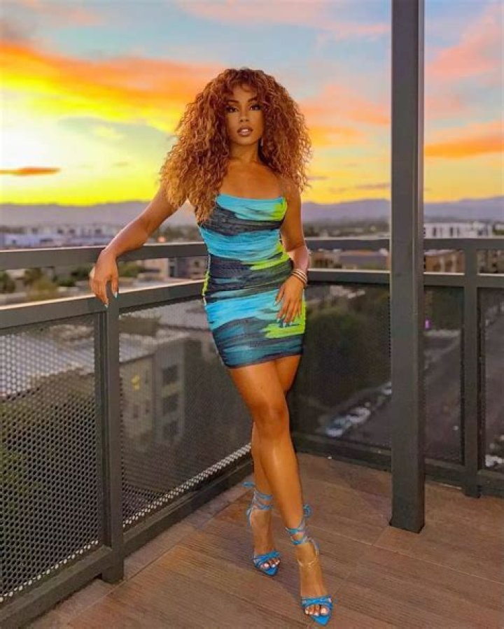 Suzette James - Bio, Age, Career, Height, Net Worth, Facts