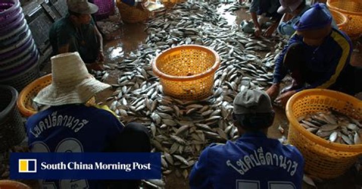 Thai poultry factories accused of labour abuses