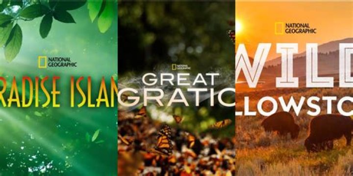 The 10 Best Wildlife Documentaries On Disney+ Right Now