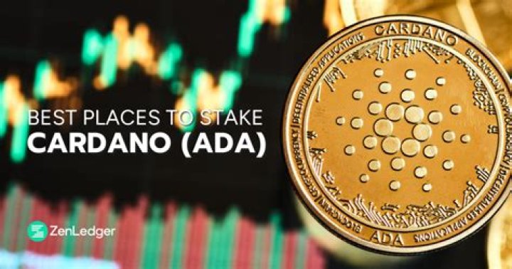 The 4 Best Places to Stake Cardano (ADA)