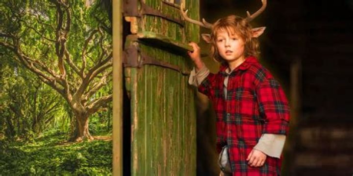 The Enigmatic Sweet Tooth Tree: Nature's Candy Haven