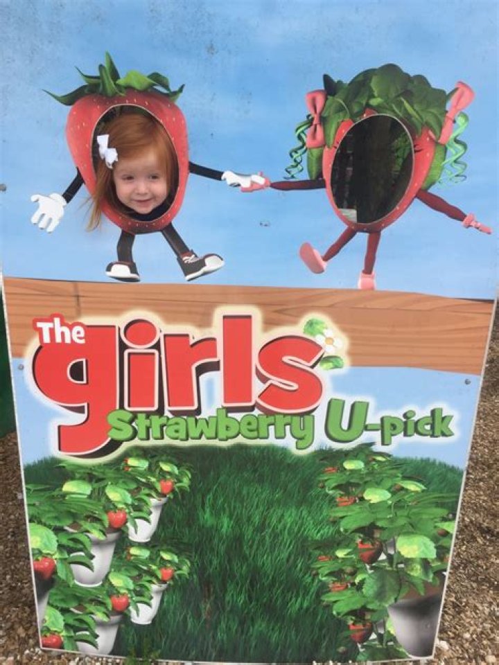 	The Girls Strawberry U-Pick	
