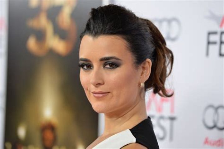 The Life And Career Of Actress Cote De Pablo