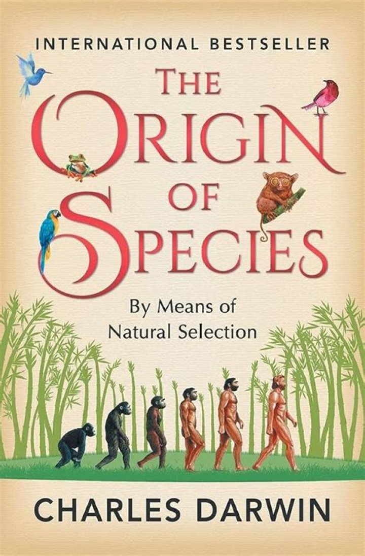 	The origin of the geeky species	
