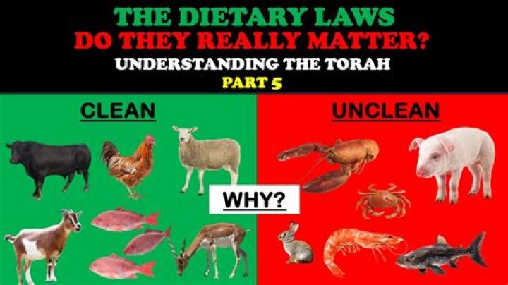 	The rationale for the dietary laws	