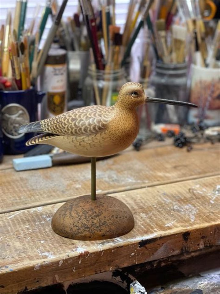 	THE REAL DECOY AS THEIR PRICES SOAR, AUTHENTIC SHORE BIRD DECOYS ARE WORTH HUNTING FOR.	