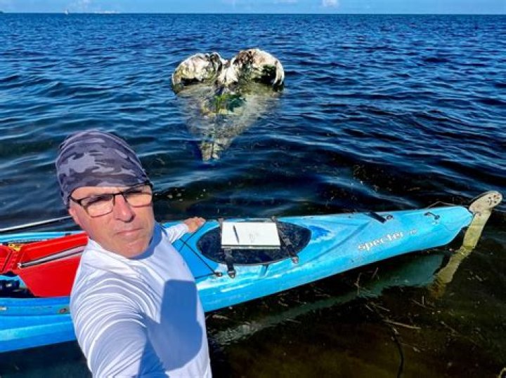	The tale of a mysterious whale skull found in Biscayne Bay	