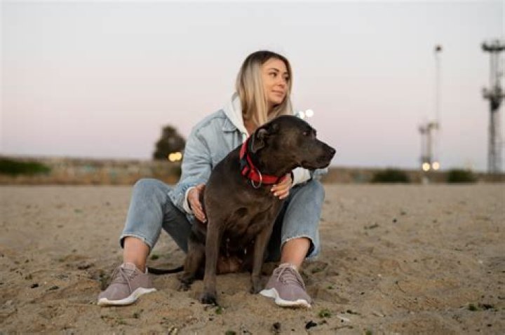 The Vet Life Lawsuit Outcome: What You Need To Know