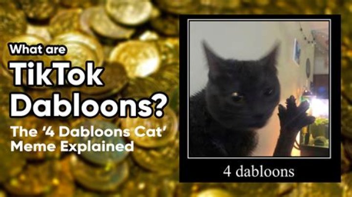TikTok’s 4 dabloons cat meme, explained