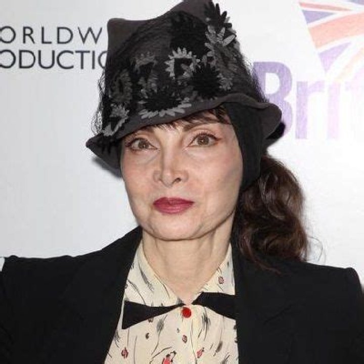 Toni Basil - Bio, Age, Divorce, Nationality, Body Measurement, Career, Wiki