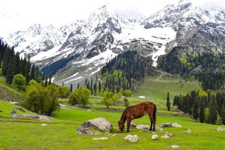 Top 10 Holiday Destinations In Kashmir For a Fun Vacay
