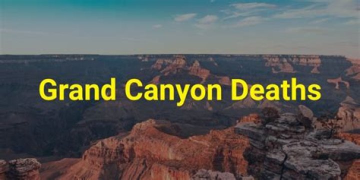 Tragic Death At Grand Canyon: Safety Concerns Raised After Man Falls