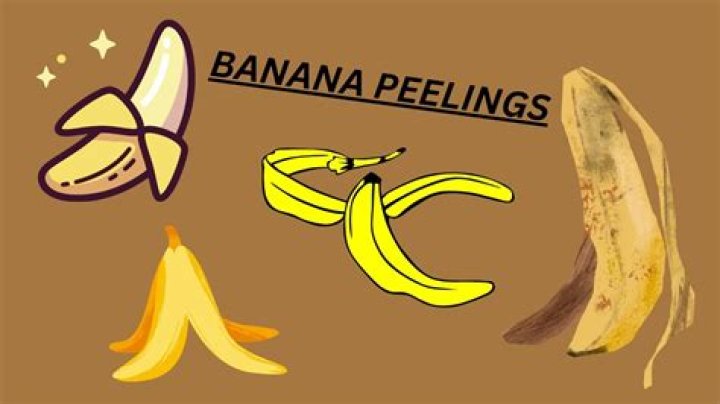 	Trashy question: Is tossing a banana peel littering?	