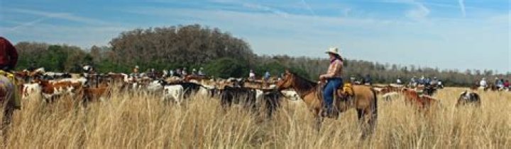 	Treat for dad all year: ‘A Land Remembered’	
