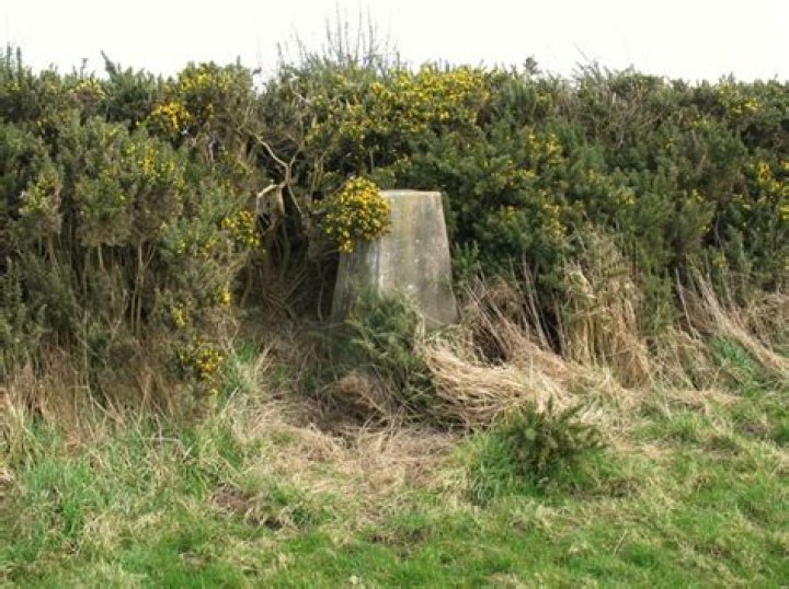 Triangulation Pillar, Cardurnock | Co-Curate