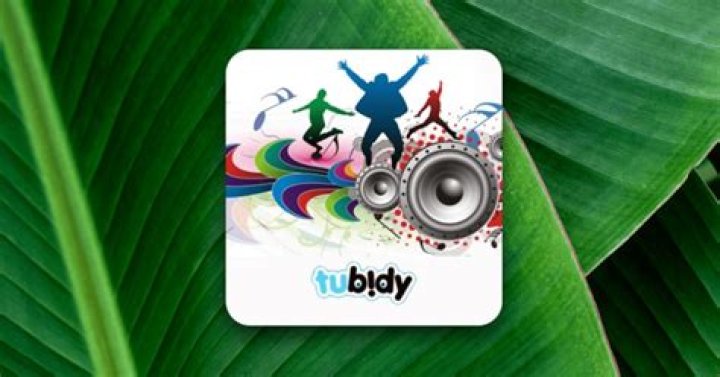 tubidy.io login safely, analysis & comments