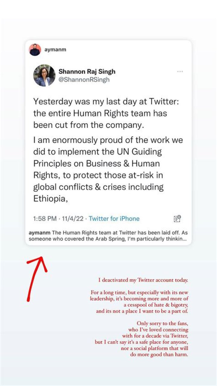 Twitter: A Cesspool Of Toxicity Amid Abuse Revelations