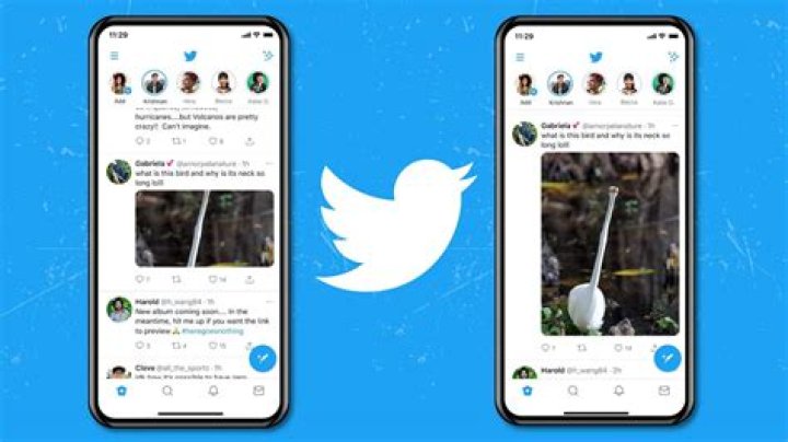 Twitter users rejoice after devs finally remove auto-crop feature