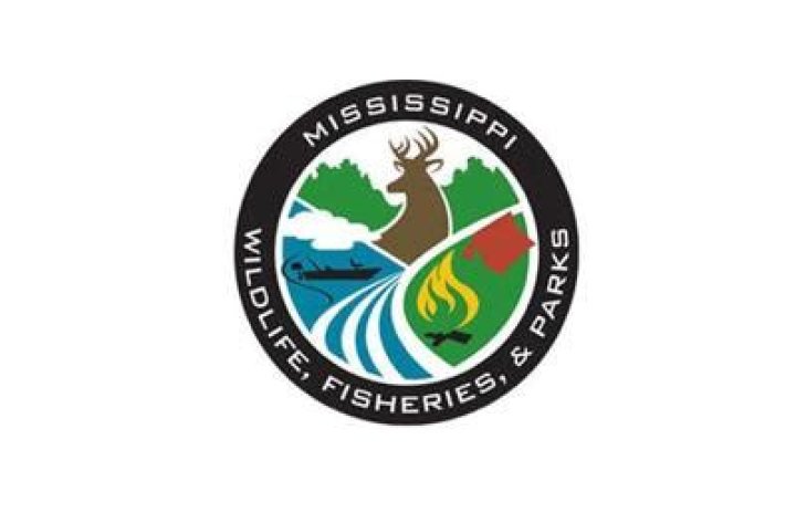 Two longtime game wardens retire, leave enforcement in Holifield’s hands | Local News