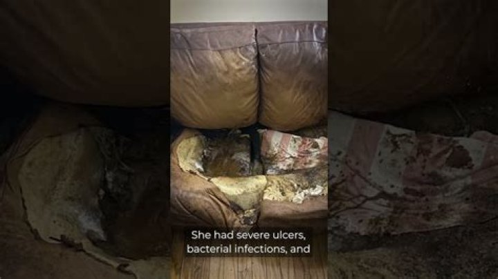 Uncover Hidden Truths: Delve Into Lacey Fletcher Crime Scene Photos